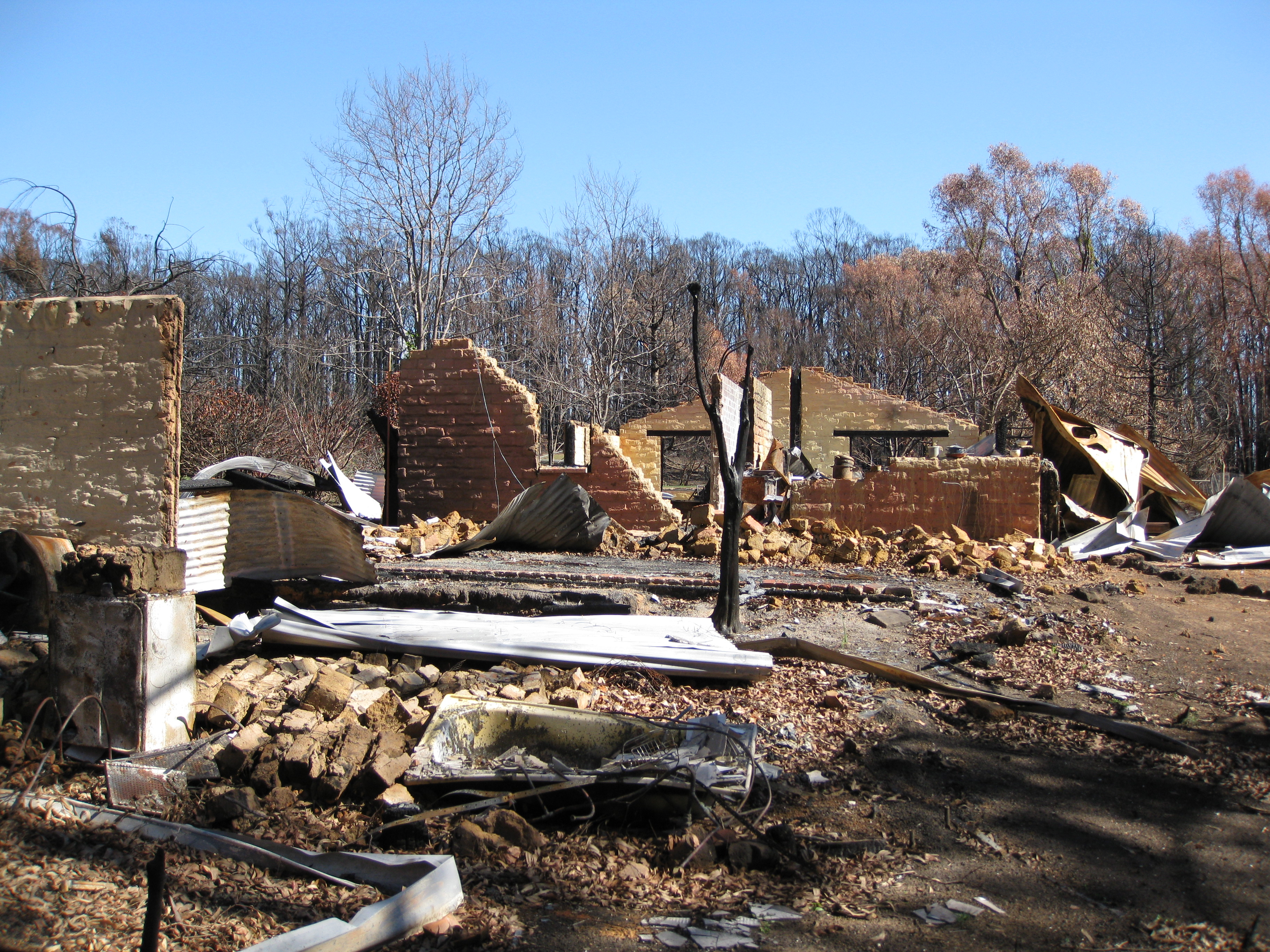 Image shows burnt home in ruins with burnt forest behind.