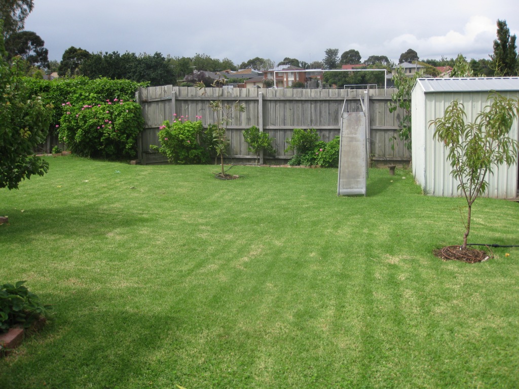 Image shows a suburban backyard with shed, metal slide and a neatly mown lawn.